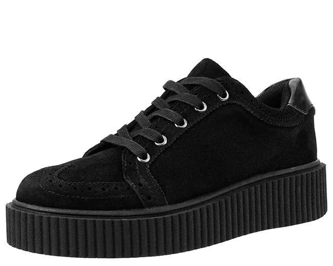 Wingtip Casbah Creeper