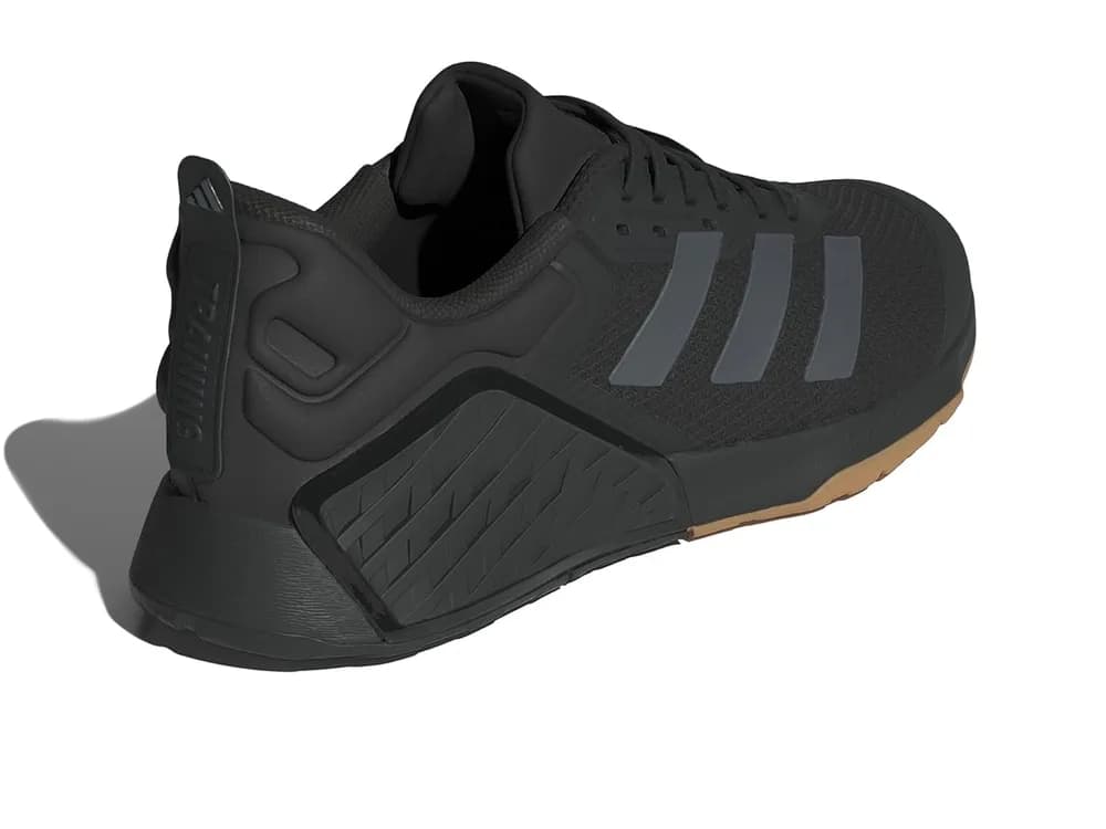 Dropset 3 Trainer